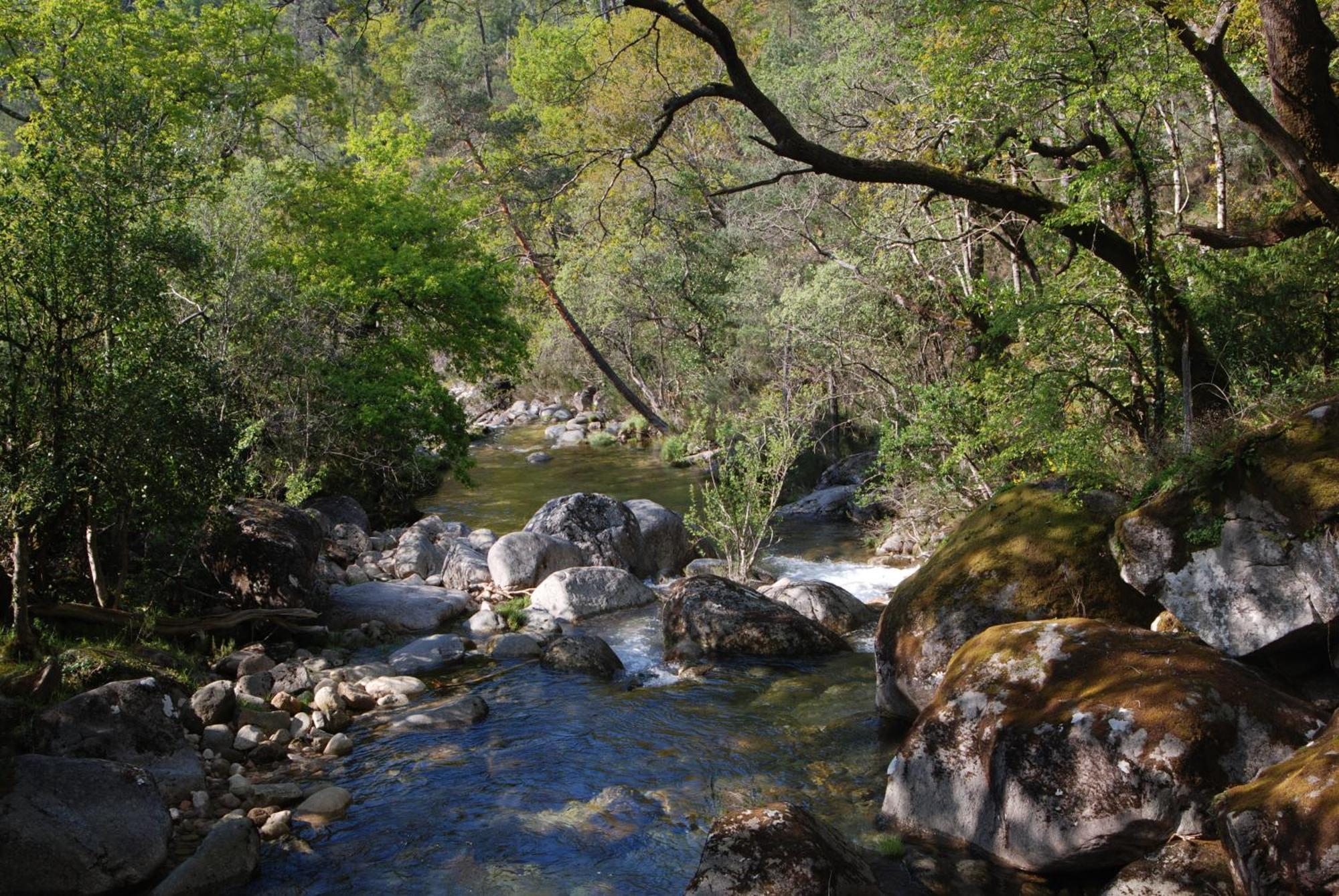 Hotel Carvalho Araujo Geres Bagian luar foto